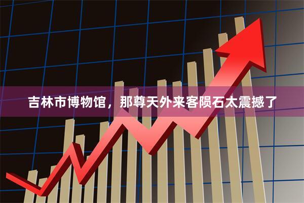 吉林市博物馆,那尊天外来客陨石太震撼了