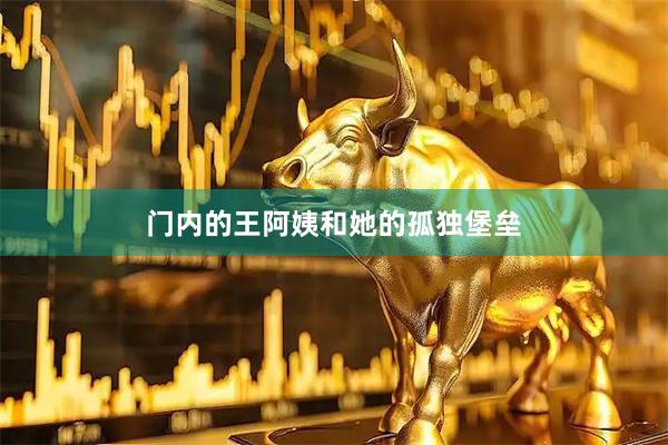 门内的王阿姨和她的孤独堡垒